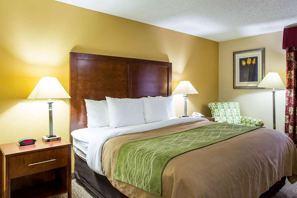 Comfort Inn Columbia West - photo 29