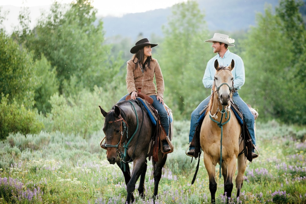 Even Hotel Bozeman Yellowstone Intl Arpt By IHG - photo 62