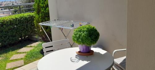 Lena’s fresh studio near the airport with seaview — Artemida — photo 2
