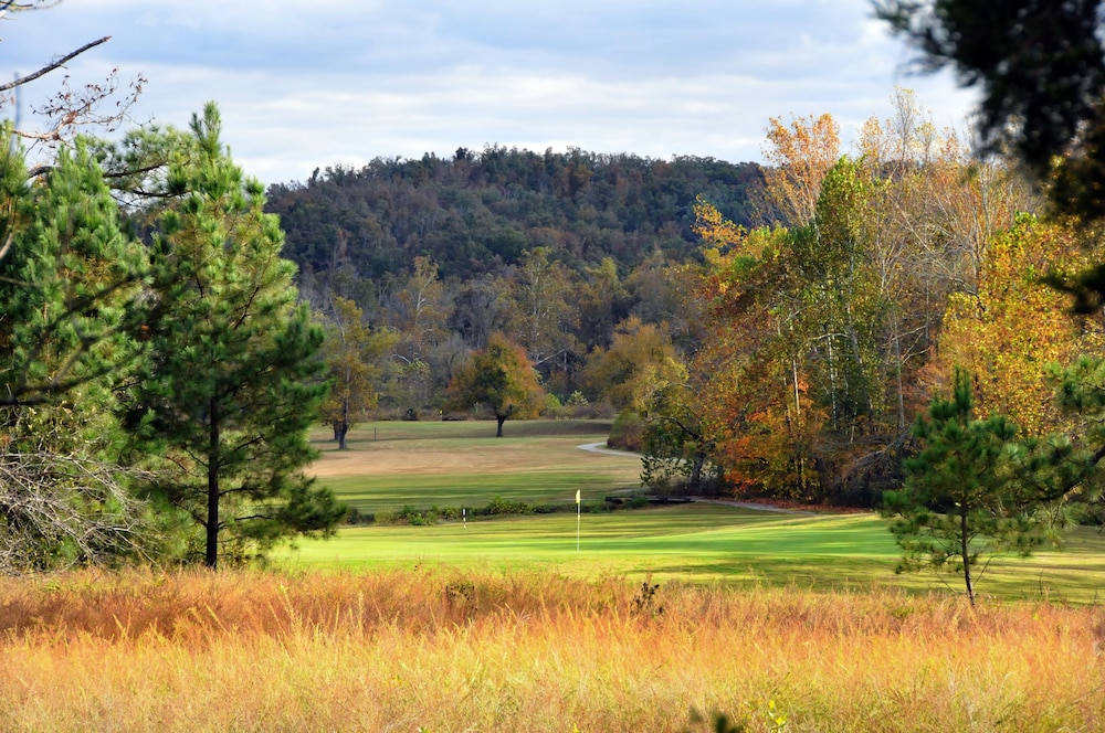 Pennyrile Forest State Resort Park - photo 23
