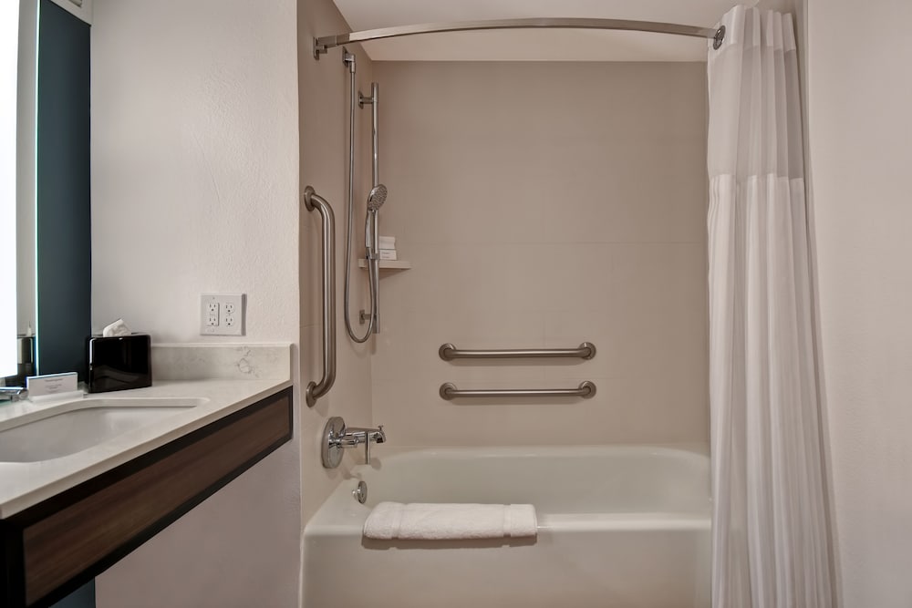 Hilton Garden Inn Houston Galleria Area - photo 20