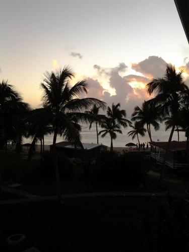 Cocotiers et pieds dans l'eau — 4-Star Luxury Hotel in Saint-Francois, Guadeloupe