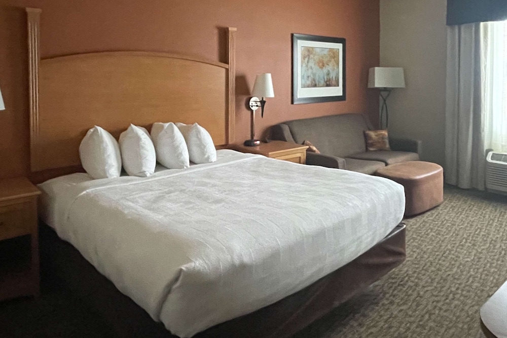 MainStay Suites Sidney Medical Center - photo 11