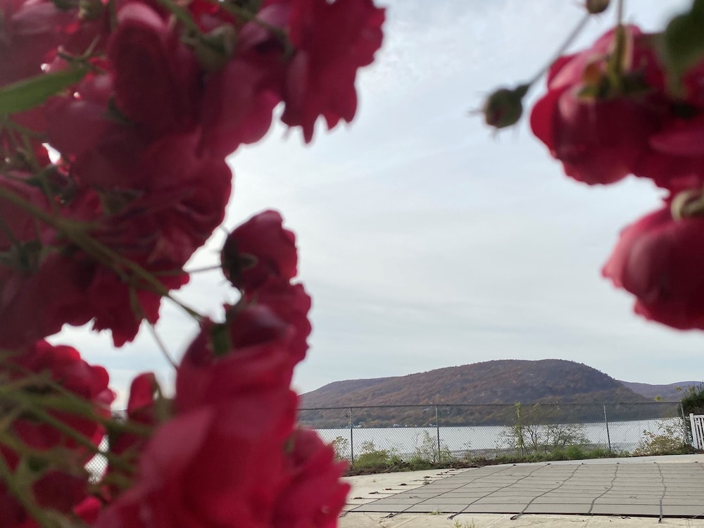 Inn on the Hudson - photo 51
