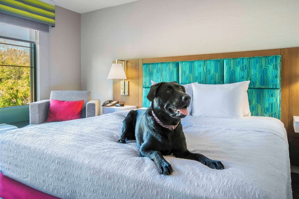 Hampton Inn East Aurora - photo 16