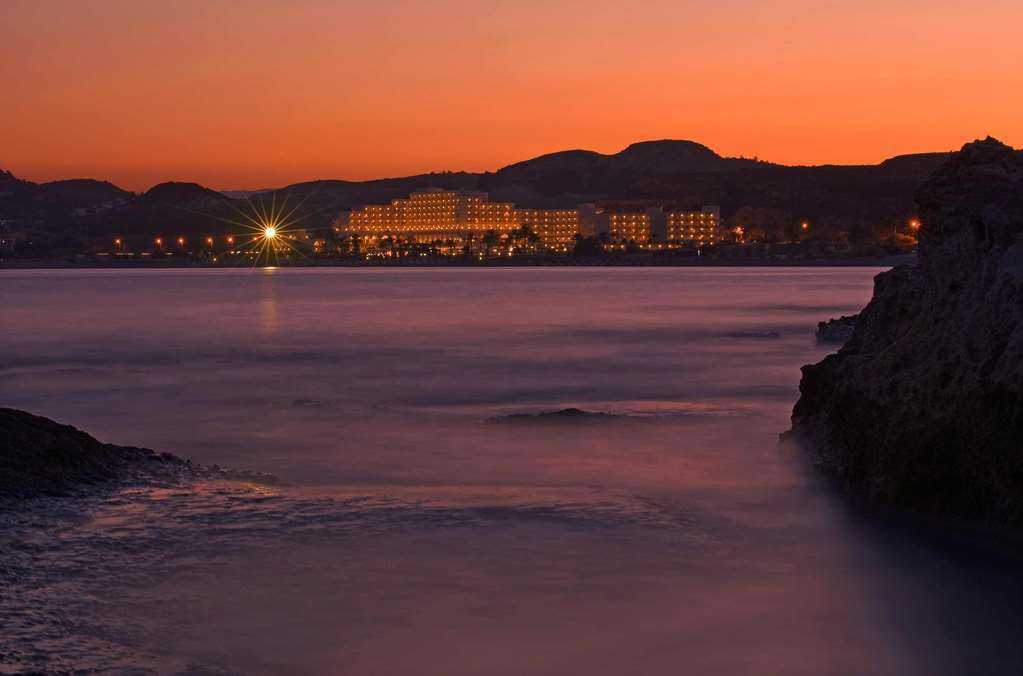 מראה חיצוני