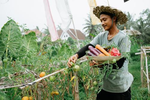 The Rice Joglo Eco Stay — 4-Star Luxury Hotel in Ubud, Indonesia