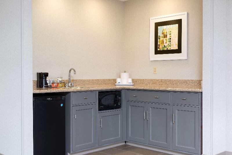 Hampton Inn & Suites East Lansing Okemos - photo 27