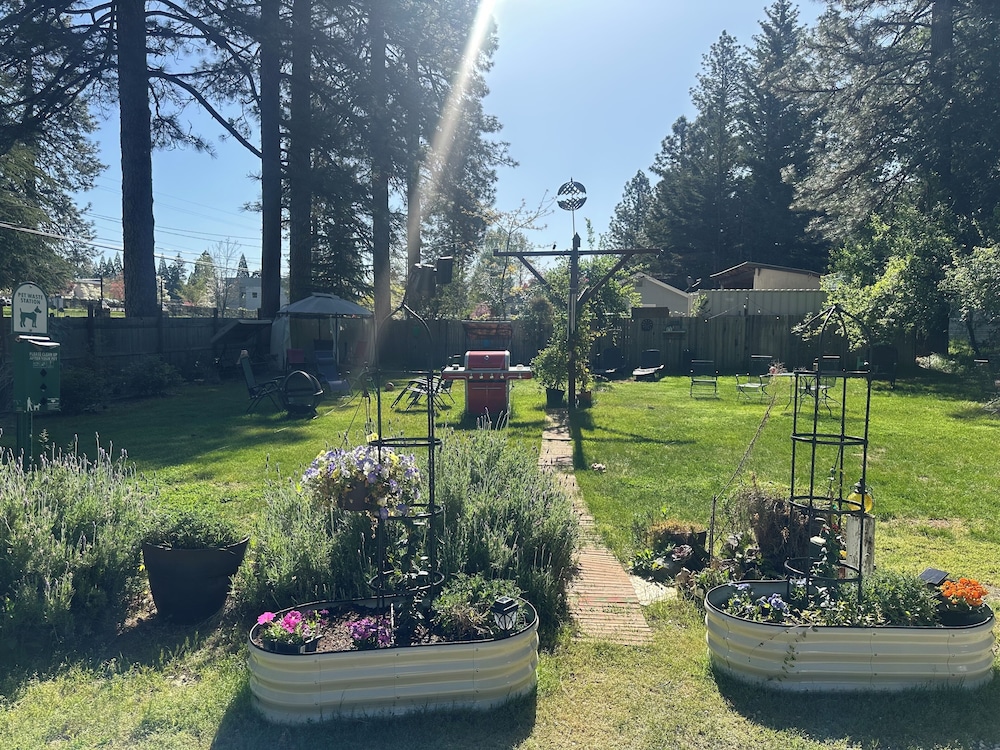 The Pines Inn and Cottages - photo 73