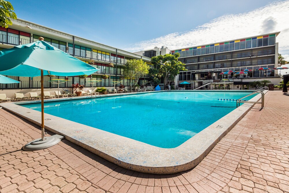 Econo Lodge Winter Haven East - photo 65