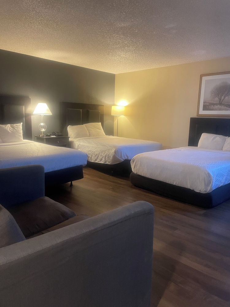 Sutter Inn - photo 11