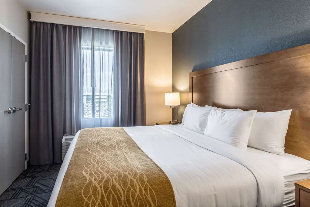 Comfort Inn & Suites Salt Lake City Airport - photo 43