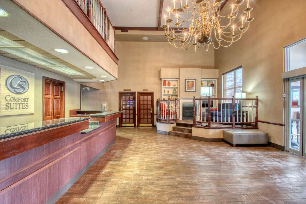 Comfort Suites Madison West - photo 3