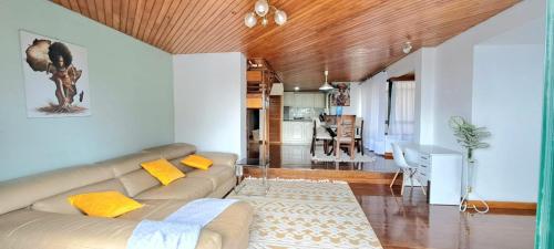 City view duplex penthouse apartment