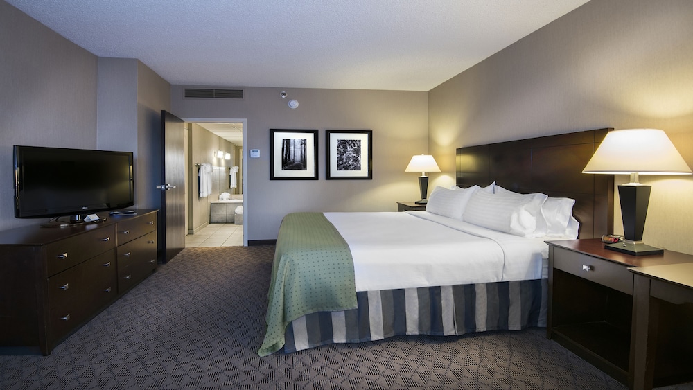 Holiday Inn Springdale Fayetteville Area by IHG - photo 11