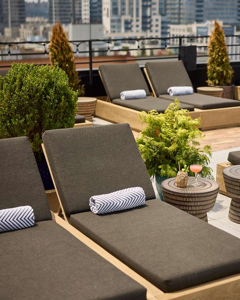 Arlo Williamsburg - photo 5