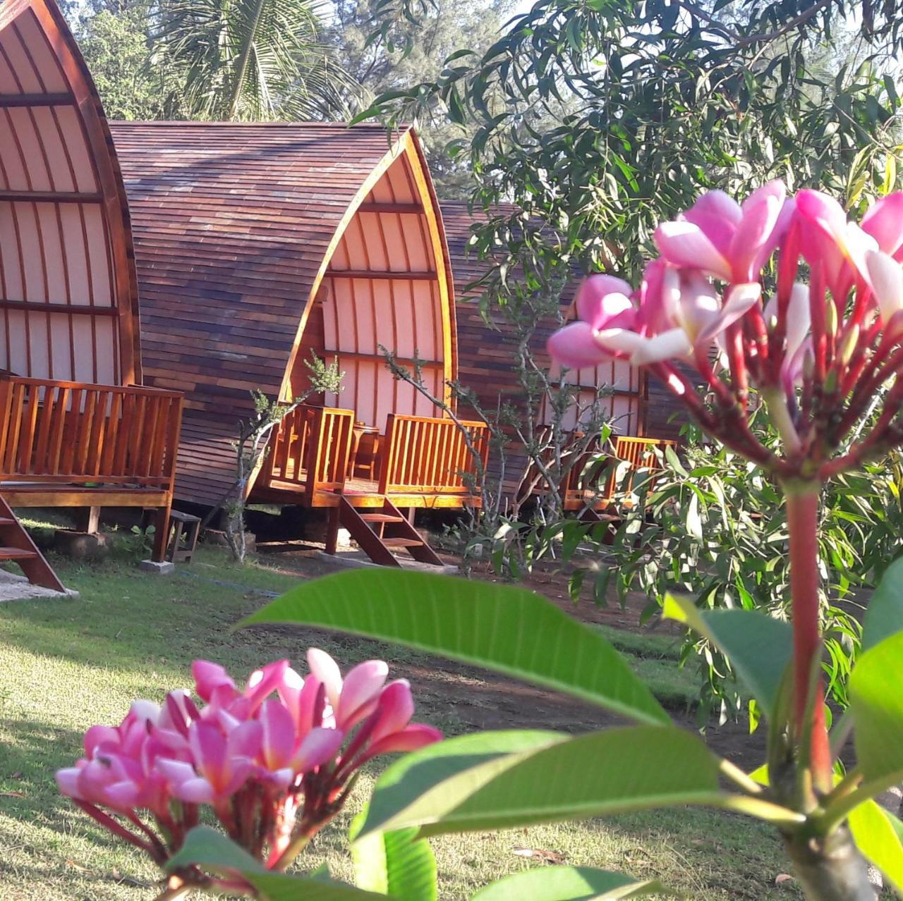 Blue Moon Meno - last minute hotel in Unknown City
