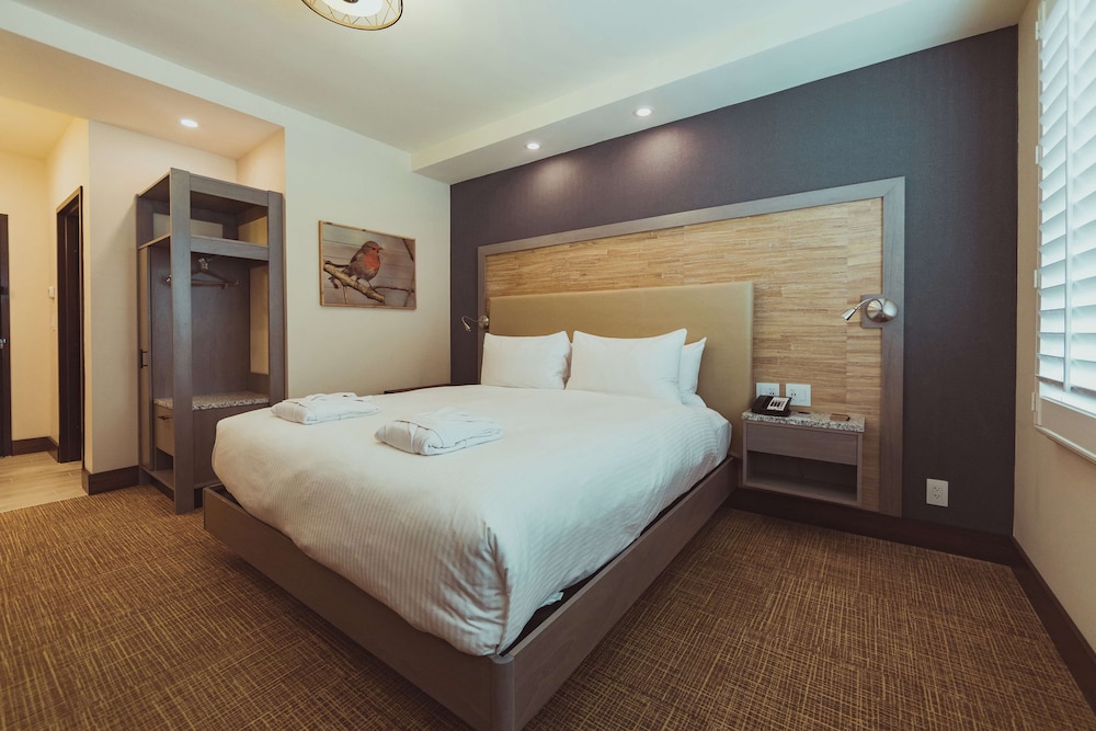 Tailwater Lodge Altmar Tapestry Collection by Hilton - photo 37
