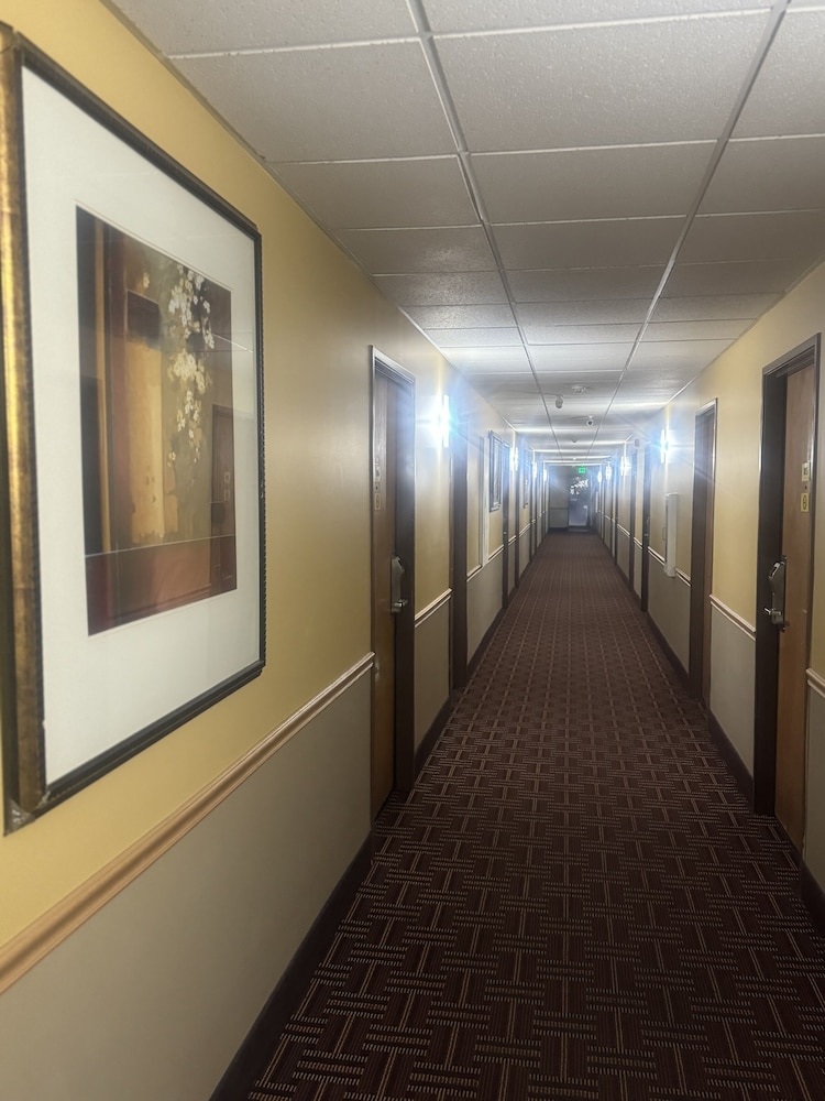 Super 8 by Wyndham Sparta - photo 7