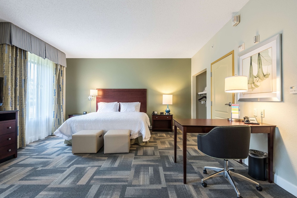 Hampton Inn & Suites Orlando South Lake Buena Vista - photo 14