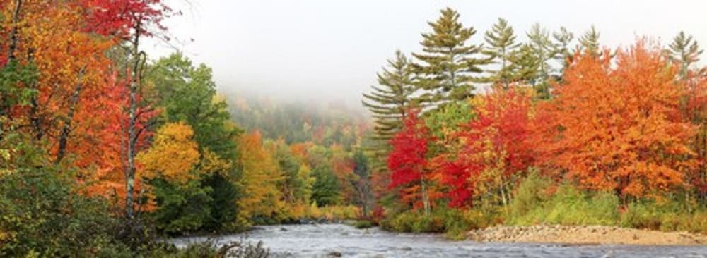 RiverWalk Resort at Loon Mountain - photo 80