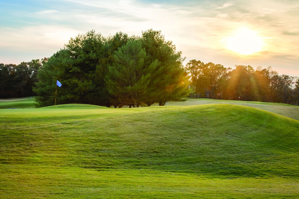 Silverleaf Resort - photo 42