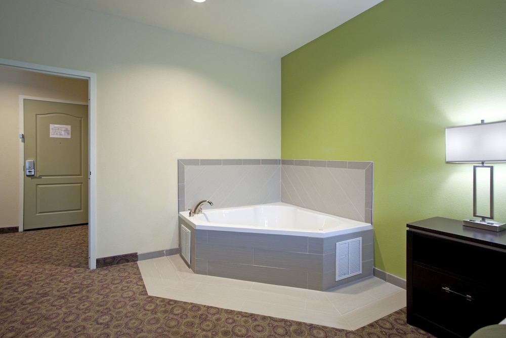 Holiday Inn Express & Suites Clemson by IHG - photo 5