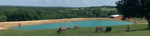 Hitching Post - carbon neutral hotel in Springtown