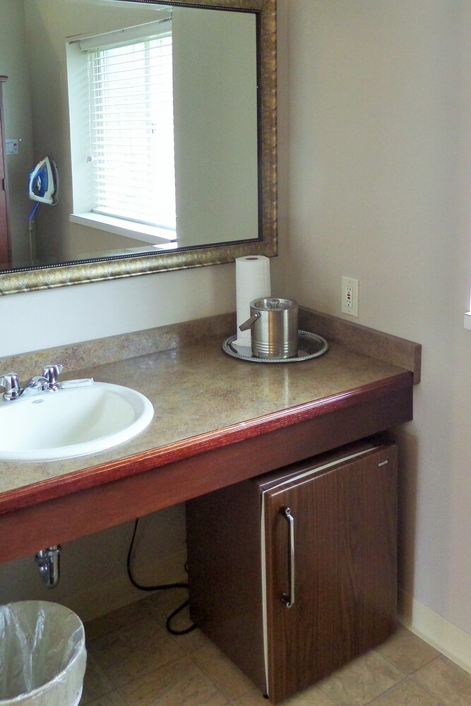 Roosevelt Inn of Hyde Park - photo 9