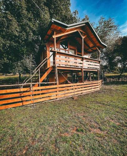 The Treehouse of the Dragon — 4-Star Luxury Hotel in Asprangeloi, Greece