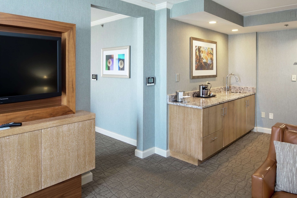 DoubleTree by Hilton Pittsburgh Green Tree - photo 12