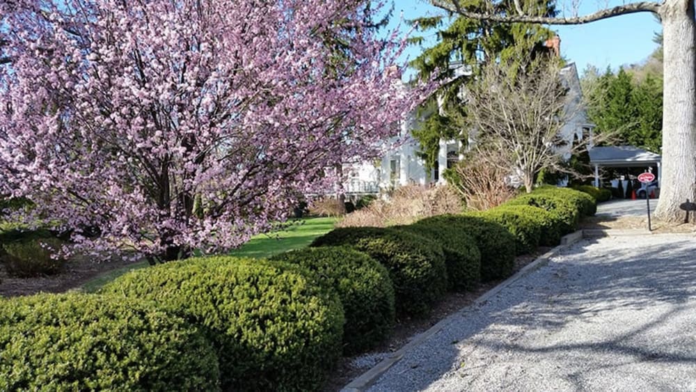 Albemarle Inn - photo 126
