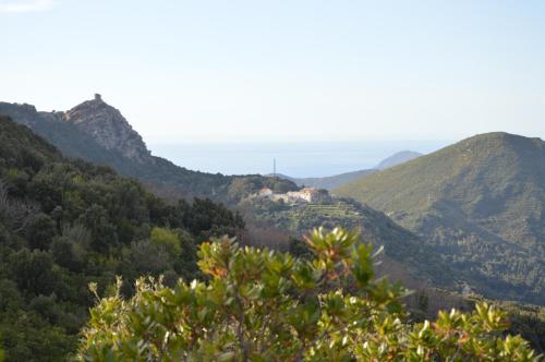 La Marine — Loury — photo 3