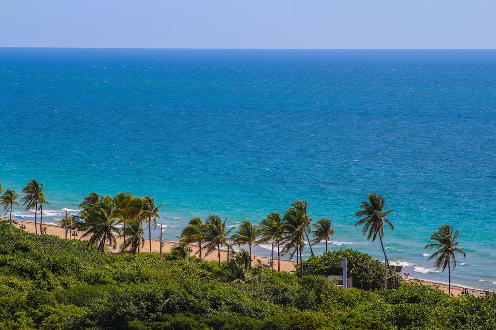 Fort Lauderdale Beach Resort - photo 41