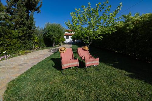 Salt & Sol in Drosia, Greece