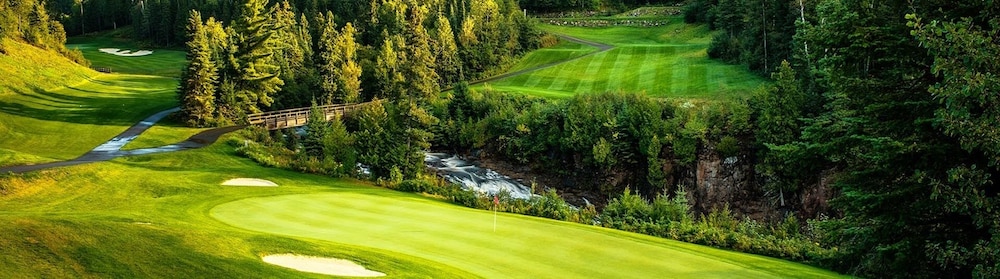 Eagle Ridge Resort At Lutsen - photo 61
