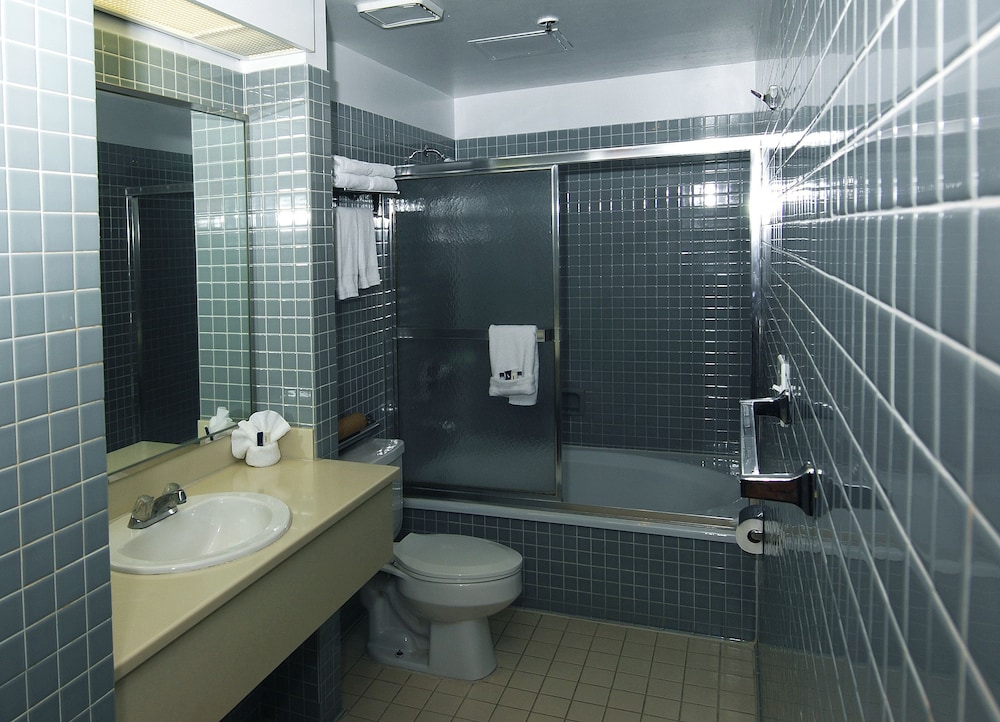 Metro Plaza Hotel - photo 25