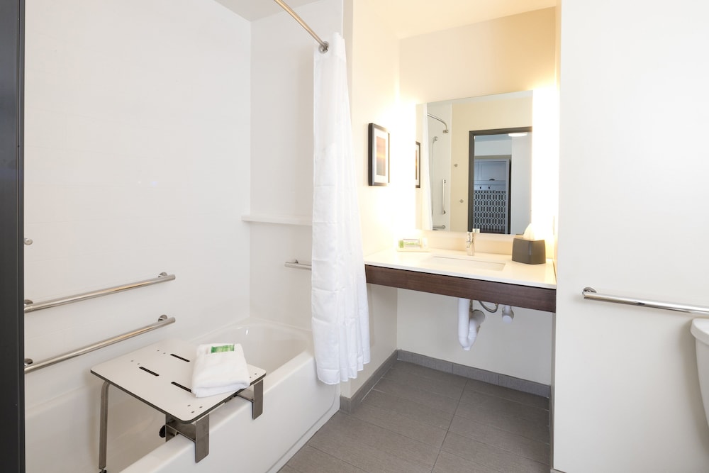 Holiday Inn Kalamazoo West - photo 27