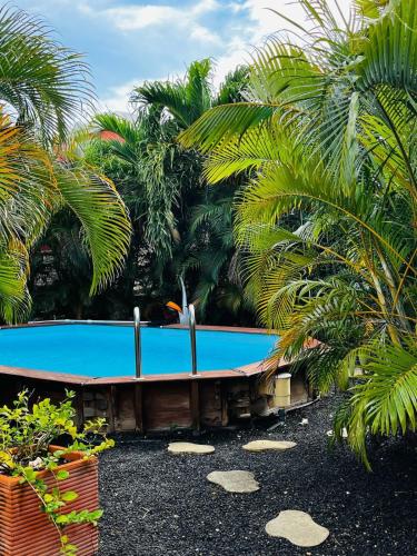 la Marguerite in Le Moule, Guadeloupe