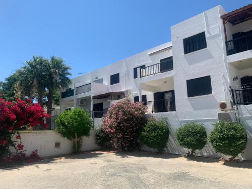Theodoros Apt. 408