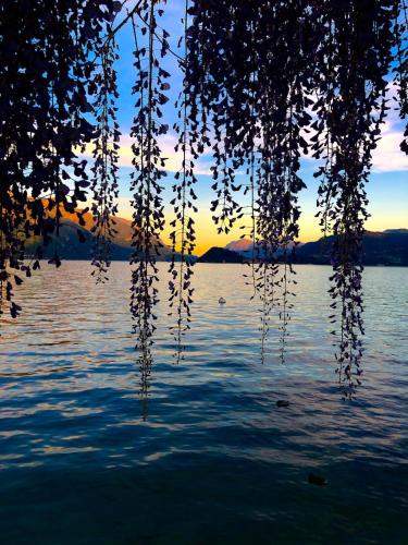 Beautiful apartment on Lake Como Private Parking — 4-Star Luxury Hotel in Mezzegra, Italy