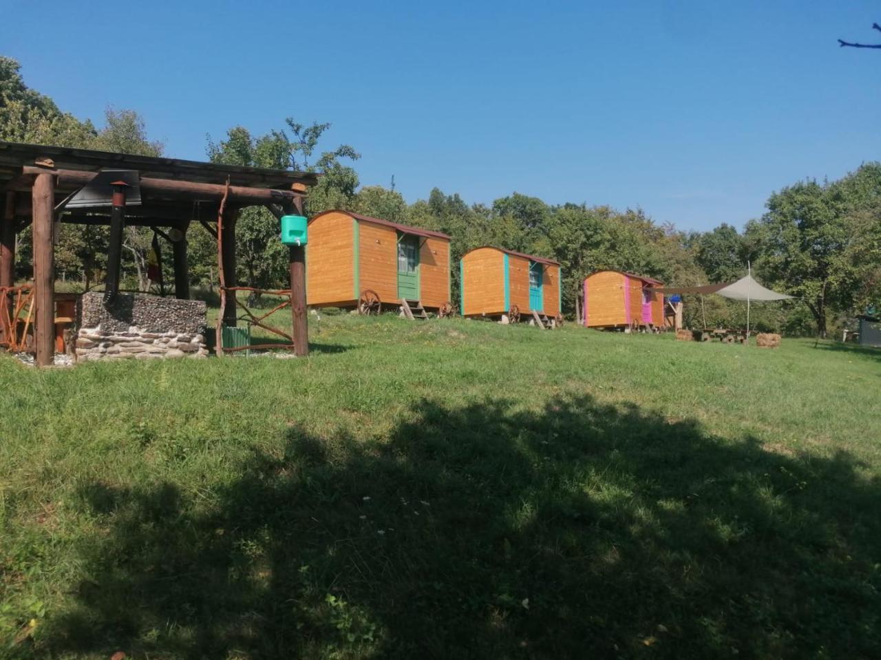 Poiana Stelelor — Valeni — photo 3