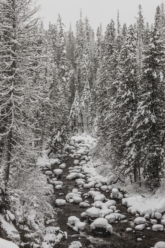 Lochsa Lodge Resort - photo 255