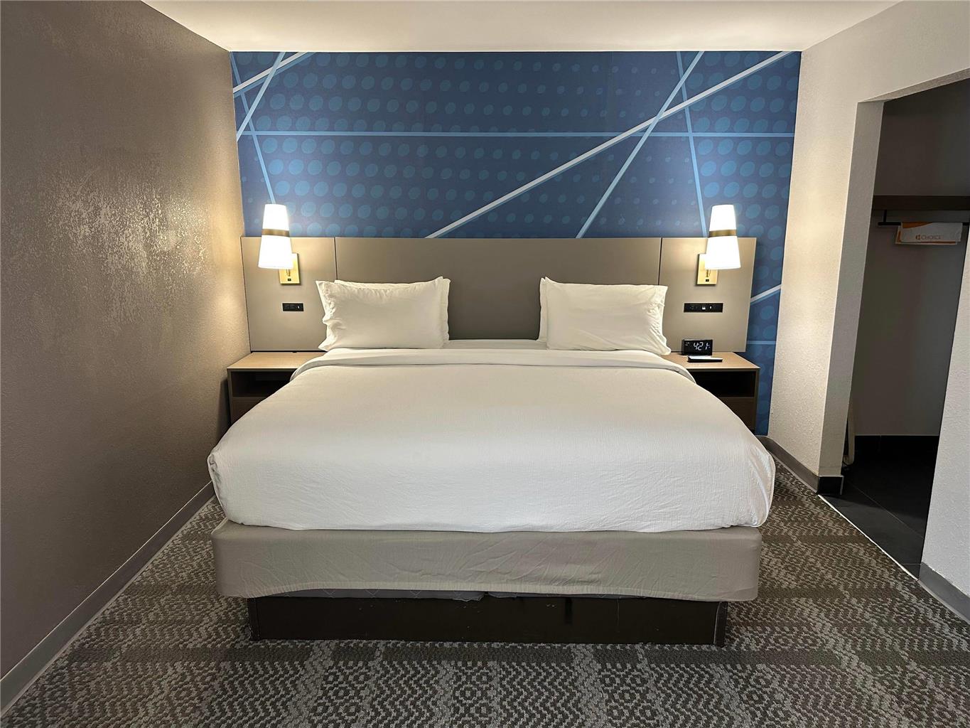 Comfort Inn & Suites Savannah Airport - photo 8