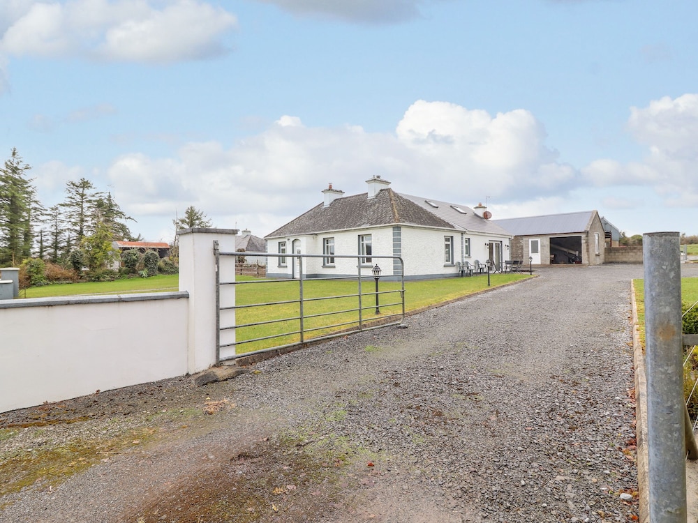 Forest View in Unknown City, Republic of Ireland