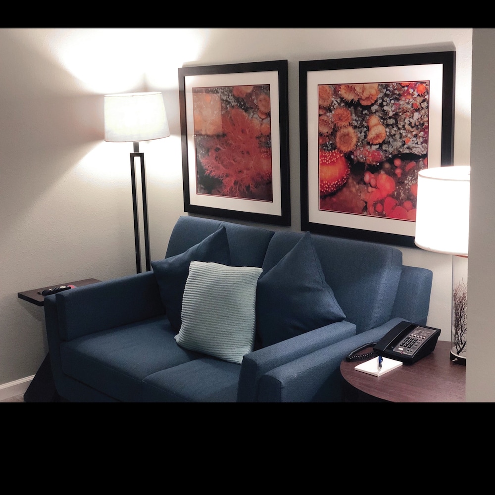 Mariposa Inn & Suites - photo 7