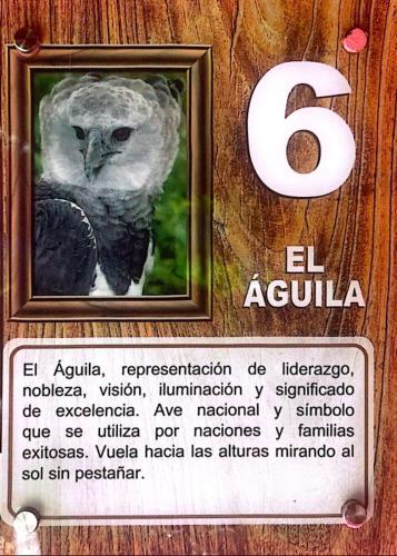 Casa de Quincha — Las Tablas — photo 4