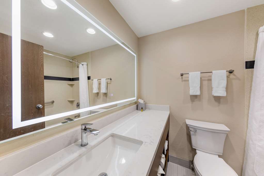 Best Western Plus Heritage Inn Ontario Rancho Cucamonga - photo 59
