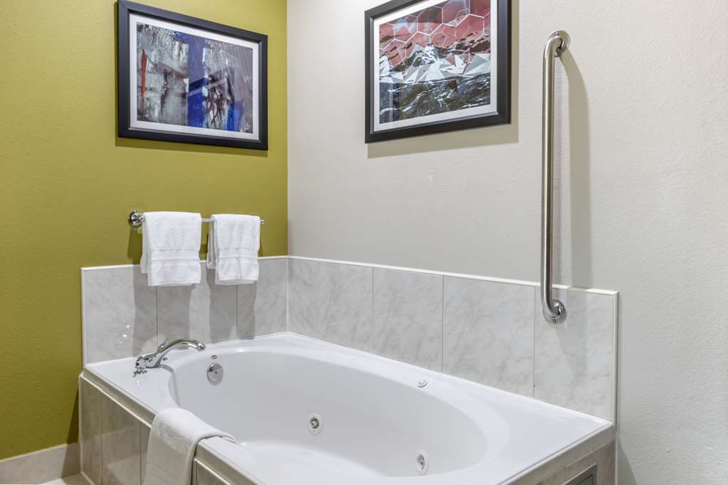Best Western Plus Mansfield Inn & Suites - photo 36