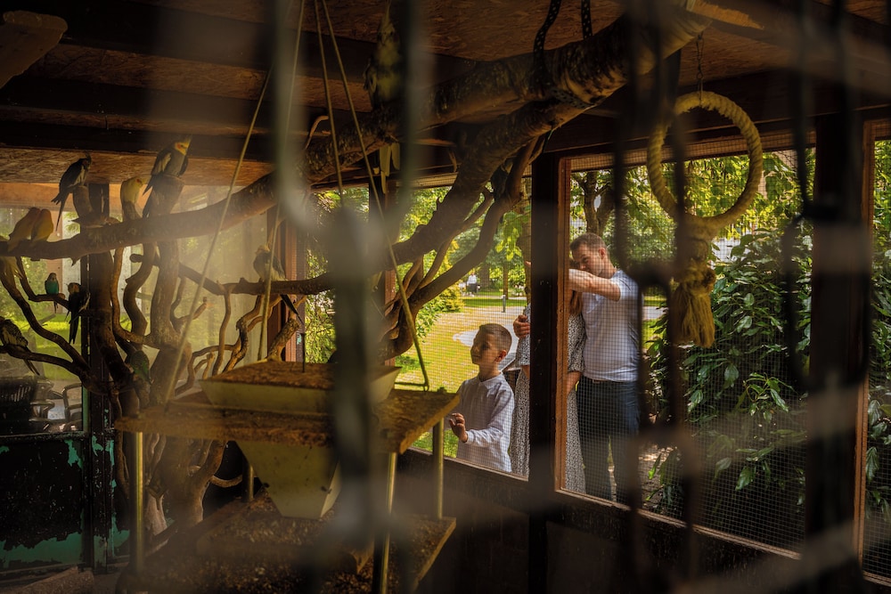 Land view from property